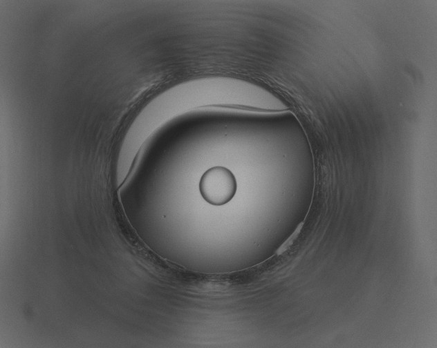 X0000116570308200912241640