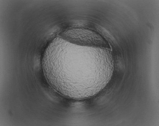 X0000116570312200912241639