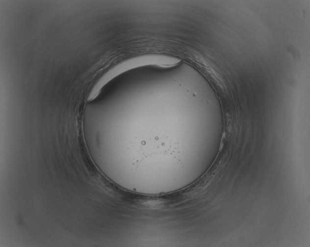 X0000116570313200912241639