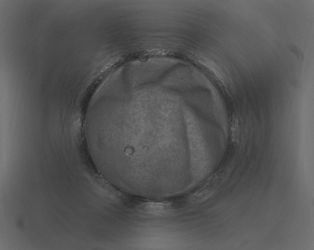 X0000116570314200912241639