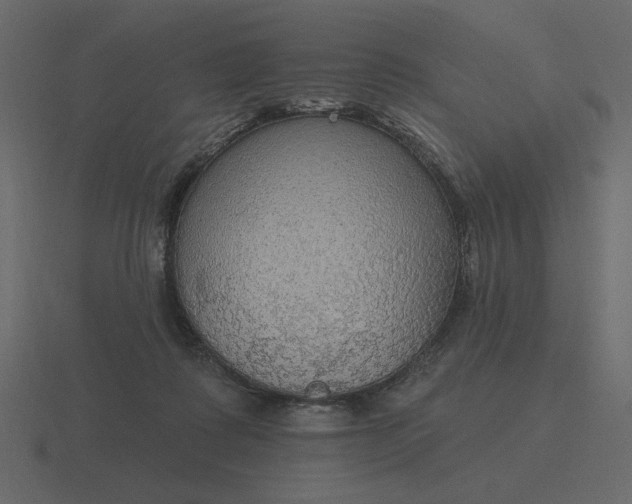 X0000116570315200912241639