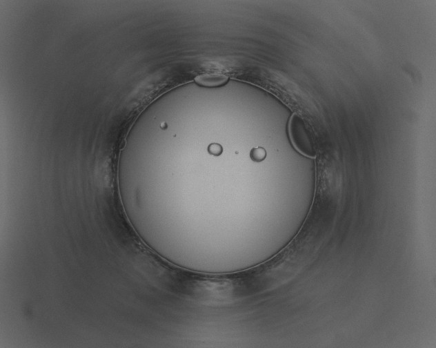 X0000116570317200912241639