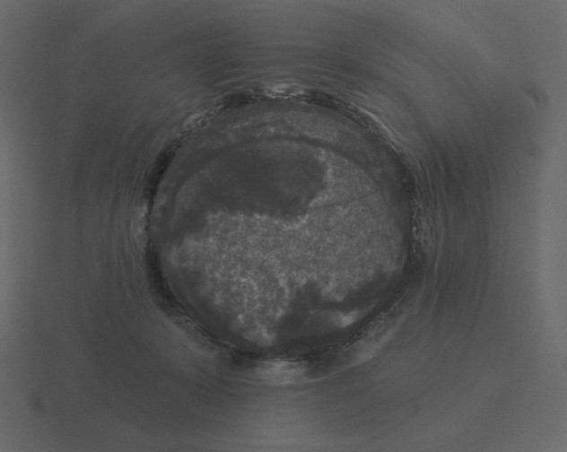 X0000116570319200912241639