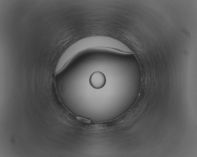 X0000116570320200912241639