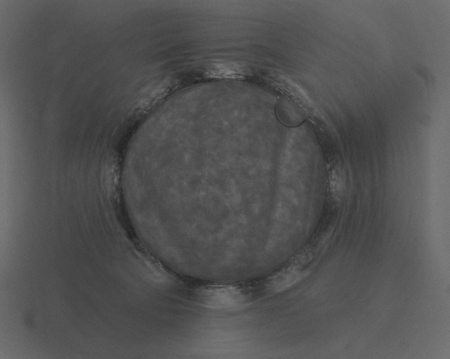 X0000116570322200912241639