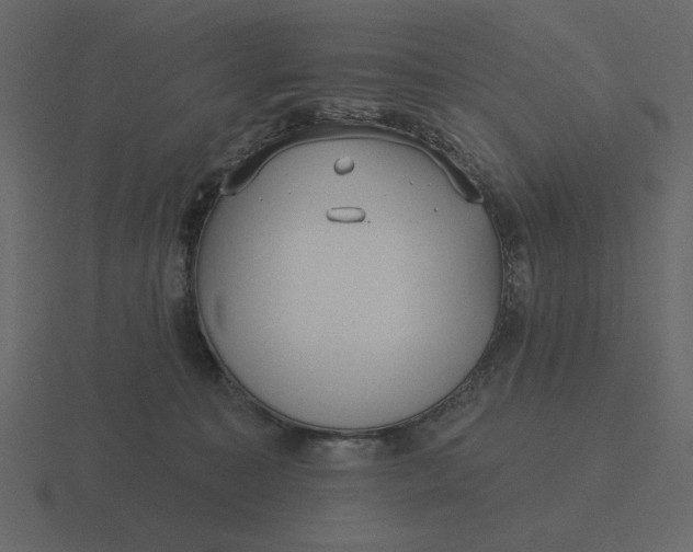 X0000116570323200912241639