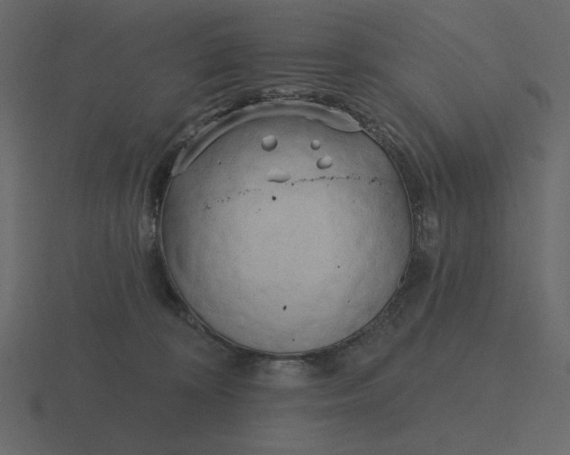 X0000116570324200912241639