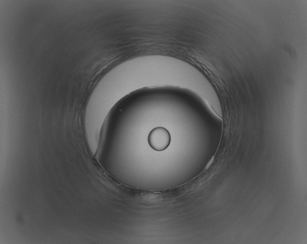 X0000116570325200912241639