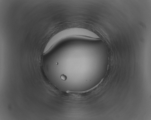 X0000116570328200912241639