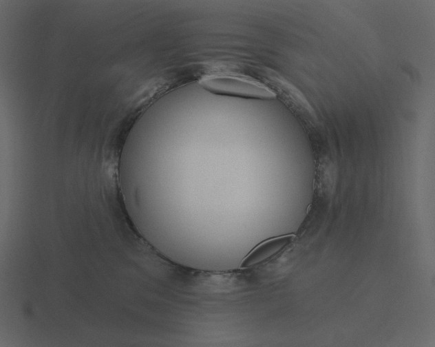 X0000116570329200912241639