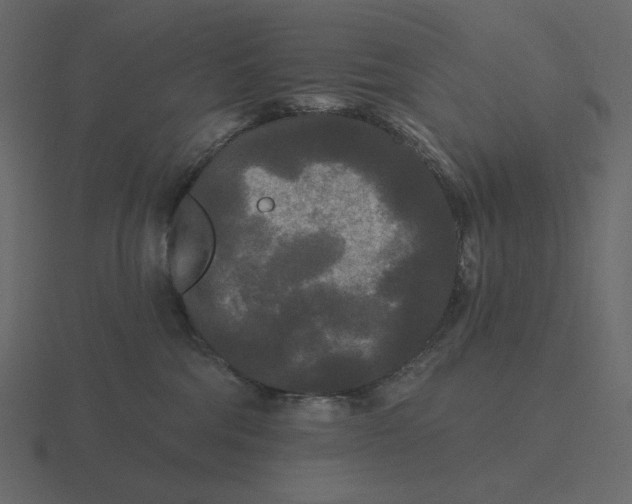 X0000116570330200912241639