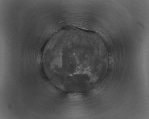 X0000116570331200912241639