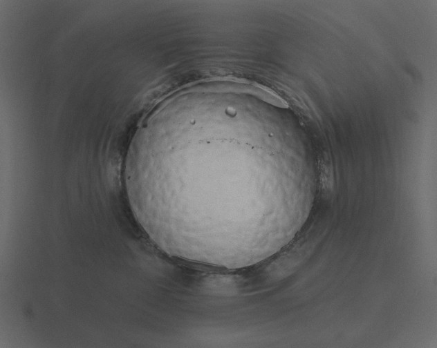 X0000116570332200912241639