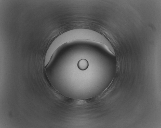 X0000116570333200912241639