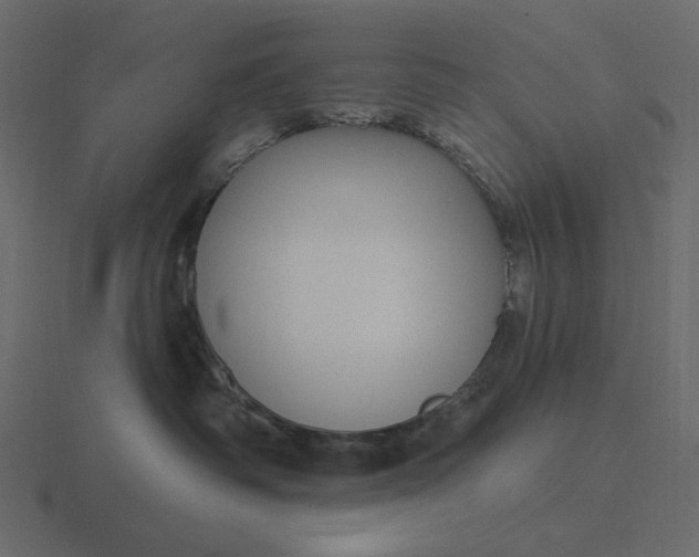 X0000116570334200912241639