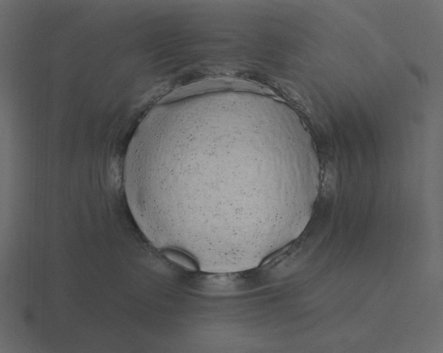 X0000116570335200912241639