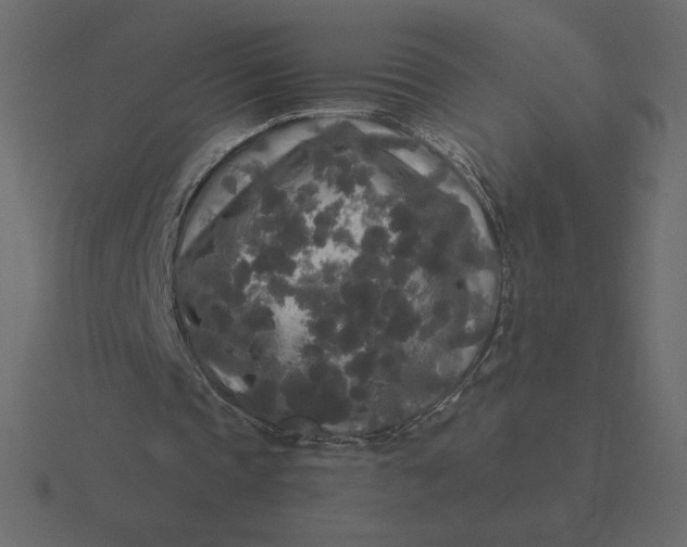 X0000116570337200912241639