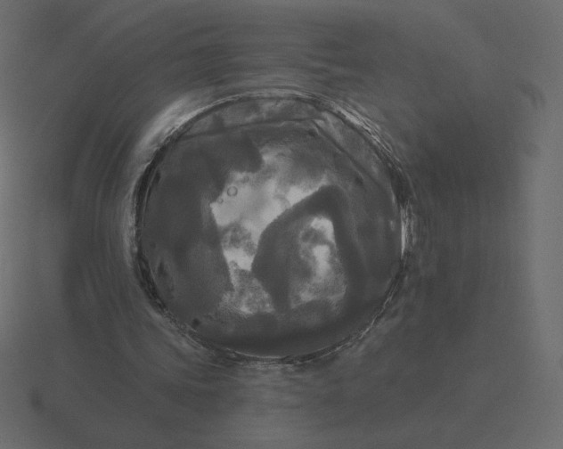 X0000116570339200912241639