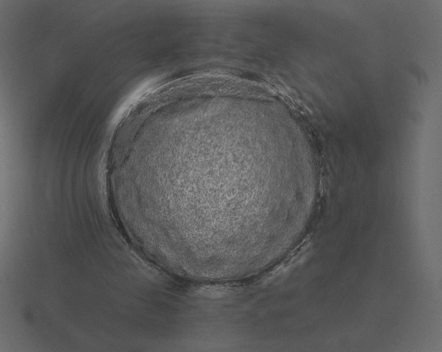 X0000116570341200912241639