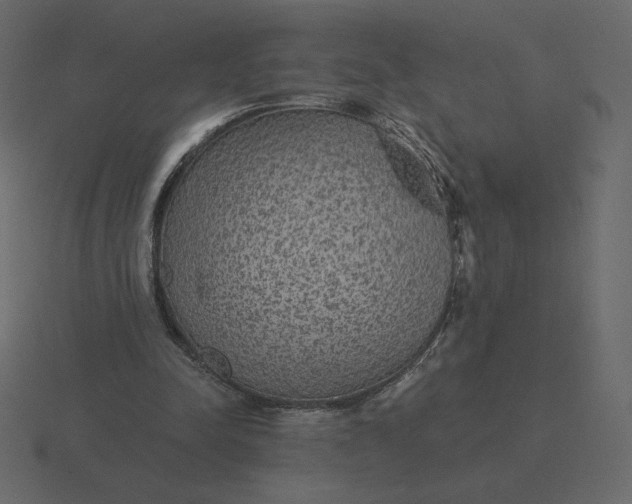 X0000116570342200912241639