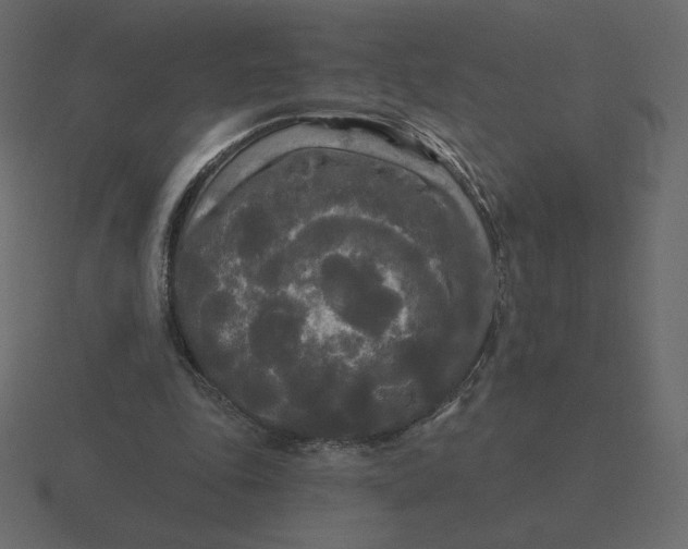 X0000116570343200912241639