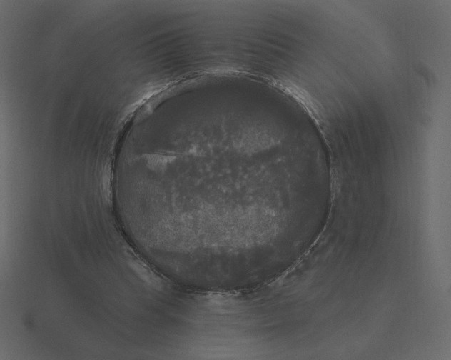 X0000116570345200912241639