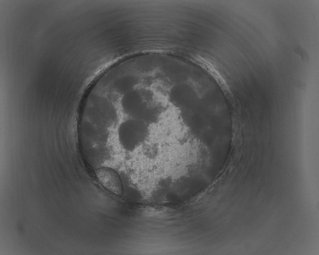 X0000116570346200912241639