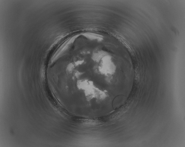 X0000116570347200912241639