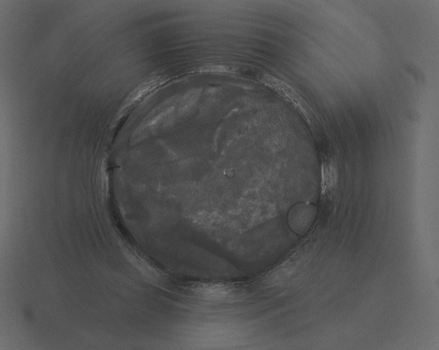 X0000116570349200912241639