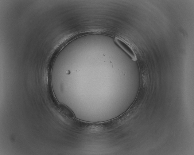 X0000116570350200912241639