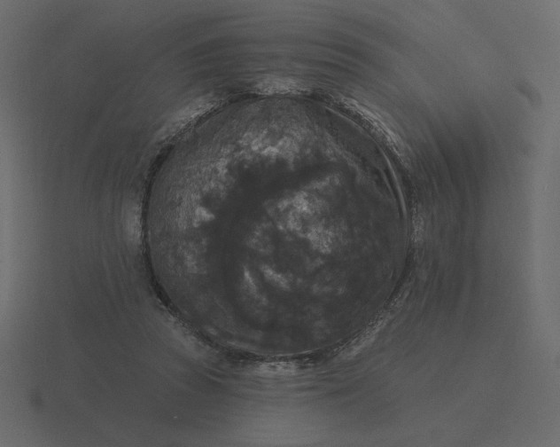 X0000116570353200912241639