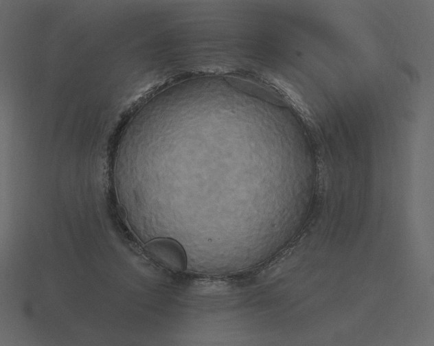 X0000116570354200912241639