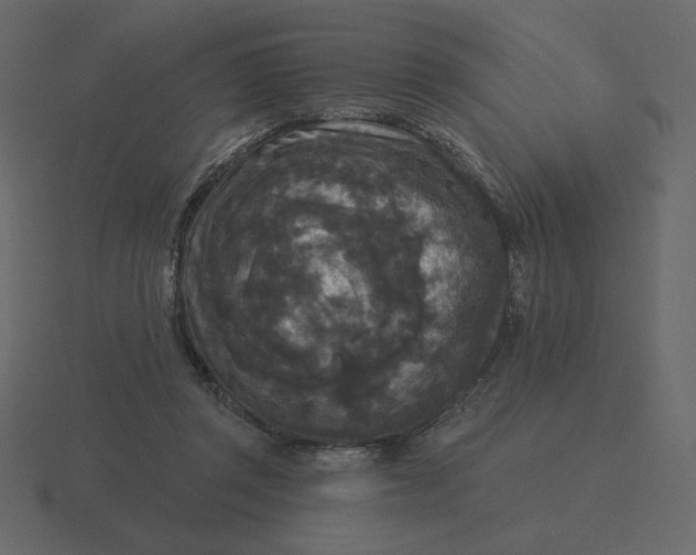 X0000116570357200912241639