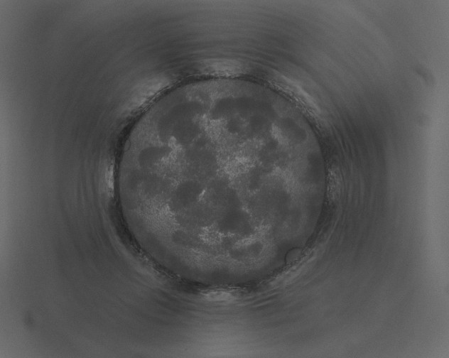 X0000116570358200912241639