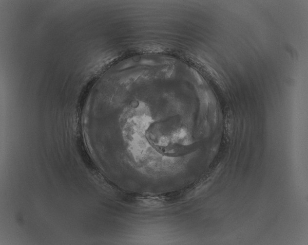 X0000116570359200912241639