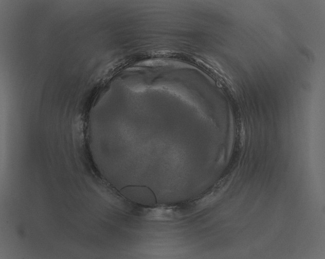 X0000116570366200912241639