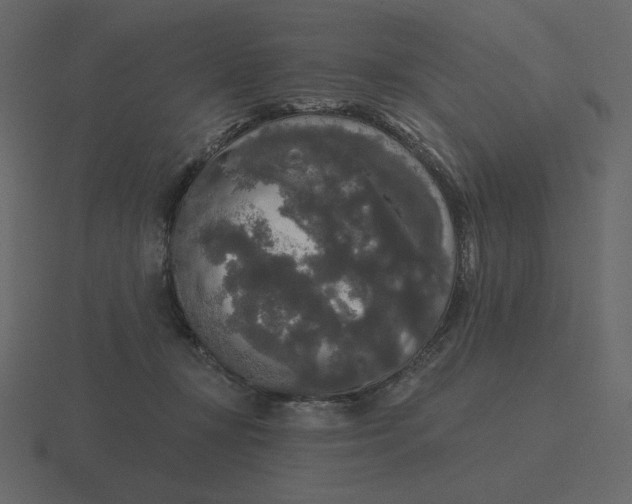 X0000116570367200912241639