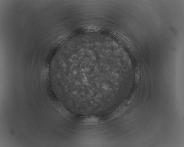 X0000116570369200912241639