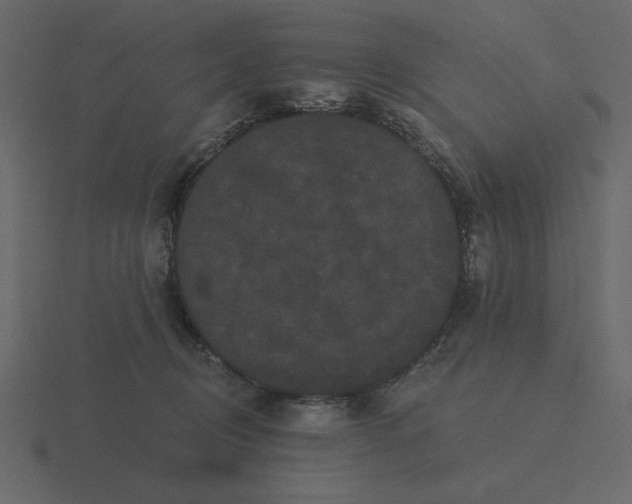 X0000116570370200912241639