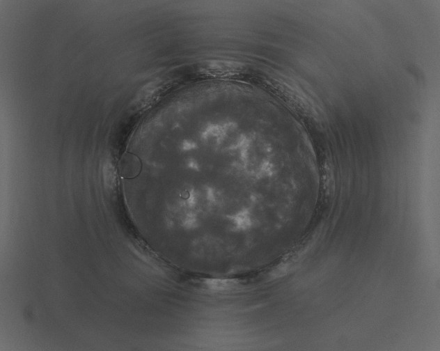 X0000116570371200912241639