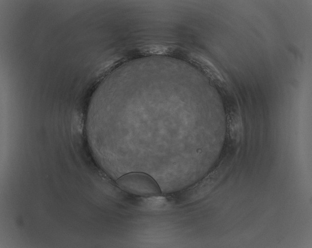 X0000116570374200912241639