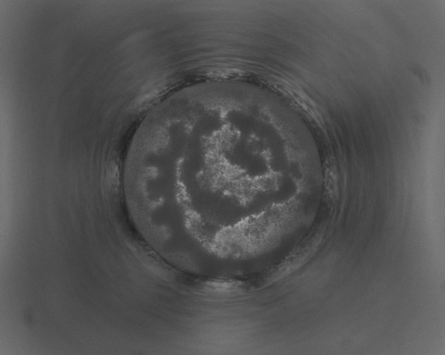 X0000116570375200912241639