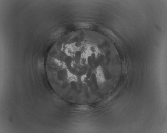 X0000116570377200912241639