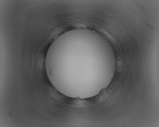 X0000116570379200912241639