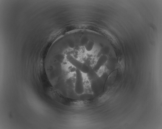 X0000116570381200912241639