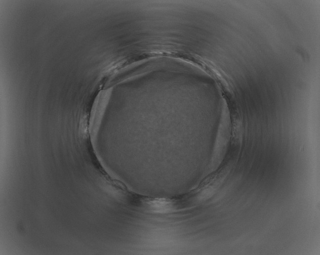 X0000116570383200912241639