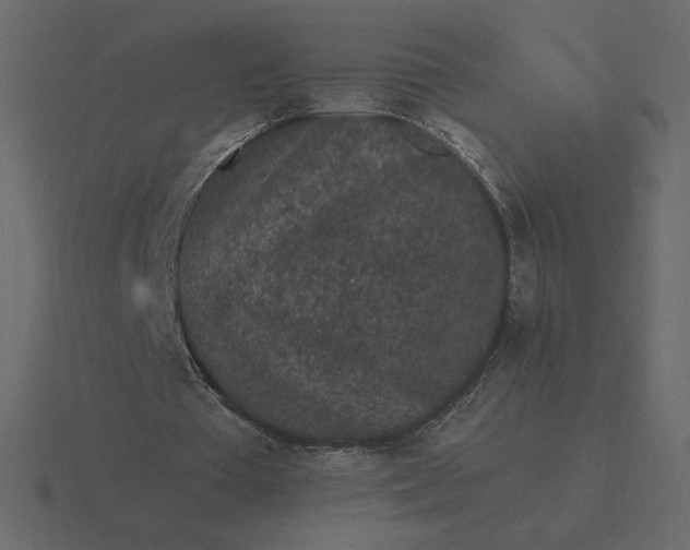 X0000116570385200912241639