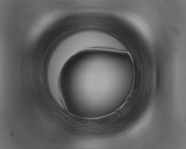 X0000116570387200912241639