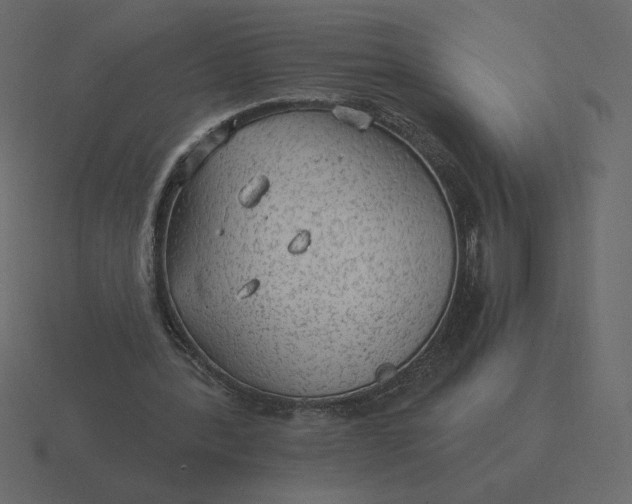 X0000116570388200912241639