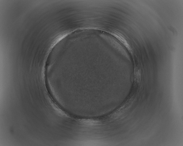 X0000116570389200912241639